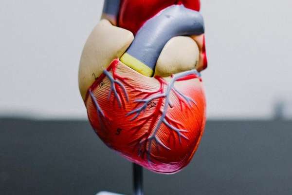 Enfermedad cardiovascular, arranca la vida a más personas que la COVID y el cáncer