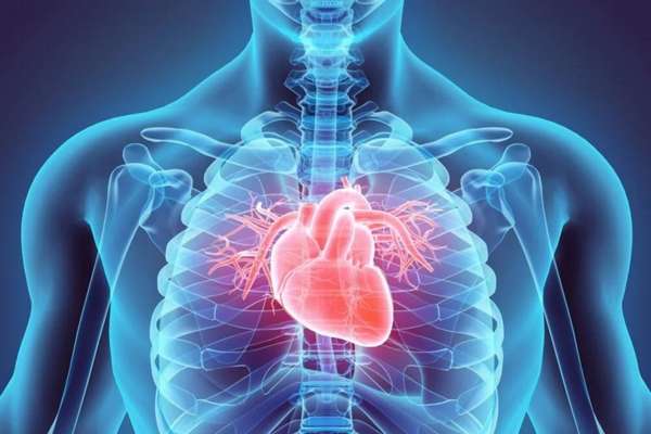 Cómo el COVID-19 daña las células del corazón y afecta el ritmo de los latidos