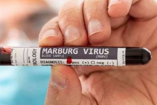 ¿Qué es el virus de Marburgo Contagios alertan a la OMS