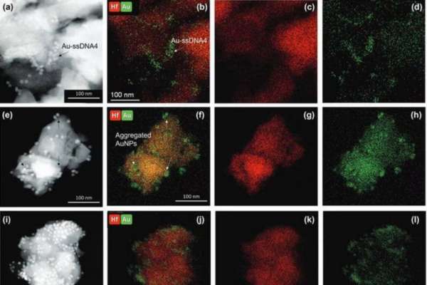 Investigadores desarrollan la primera prueba rápida para detectar la viruela del mono